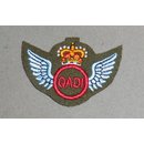 Qualified Air Dispatch Instructor Insignia