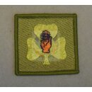 107 (Ulster) Brigade TRF