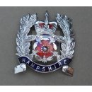 Helmabzeichen Hampshire Police