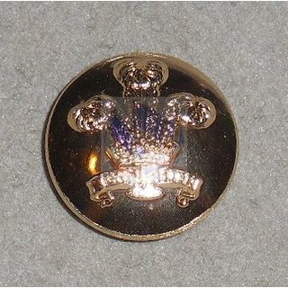 The Prince of Wales Division Knpfe