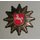 Lower Saxony Cap Star