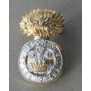 The Royal Welch Fusiliers