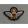 Fallschirmspringerabzeichen Singapur Master Parachutist Badge