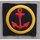 Küstendienst-Spezialist, Marine Armabzeichen