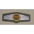 Air Force Staff Personnell  Activity Badge...