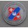Panzerpioniere Unit Coins