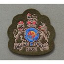 Foot Guards   Sleeve Rank Insignia