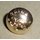 The Border / The Kings Own Royal Border Regiment Buttons