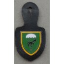 Fallschirmpanzerabwehrbataillon 272