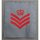 QARANC, large,  Sleeve Rank Insignia