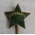 unknown Esperanto Insignia
