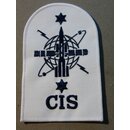 Weapons Engineering Branch, CIS  Ratings Badge