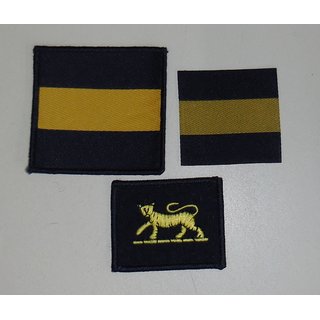 Princess of Waless Royal Regiment Insignia