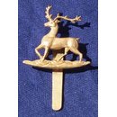 The Queens Royal Regiment (West Surrey)