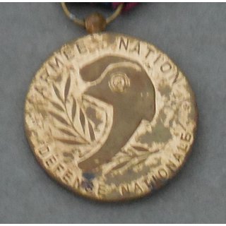 Mdaille de la Dfense Nationale, Bronze 