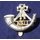 The Kings Shropshire Light Infantry