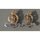 Adjutant General Corps Cap Badge