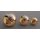 The Wiltshire Regiment Buttons