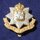 The East Surrey Regiment