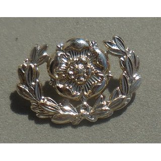 The Royal Hampshire Regiment  Collar Badges