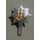 The Royal Anglian Regiment Cap Badge