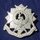 The Bedfordshire & Hertfordshire Regiment