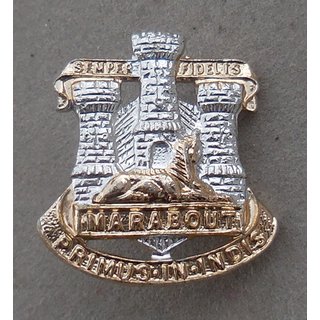 The Devon & Dorset Regiment Collar Badges