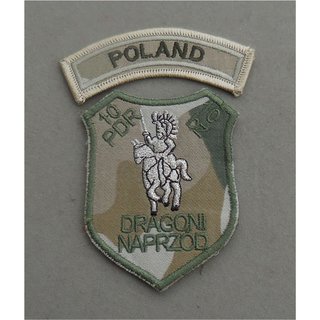 10.Brigade, 10 Dragonerregiment