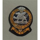Queens Regiment Insignia