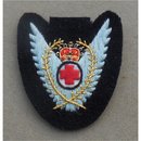 Badge, PMRAFNS, Aero-medical RAF