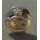 The Staffordshire Regiment Buttons