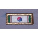Republic of Korea Presidential Unit Citation Ribbon 