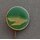 Unknown Insignia 38