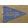 FDJ Pennant, Congress