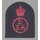 Dental Surgery Assistant Ratings Badge
