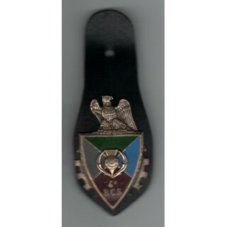 4ème Régiment de Commandement et de soutien