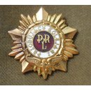 Badge Excellent Railroader of the Polish PR