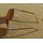 Sun Glases, Safety Glases, 1st Gulf War