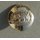 4th Royal Anglian Regiment Buttons