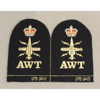 Warfare Branch, Above Water Tactical Ratings Badge