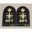 Warfare Branch, Above Water Tactical Ratings Badge