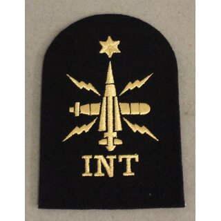 Warfare Branch,Intelligence Ratings Badge