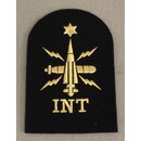 Warfare Branch,Intelligence Ratings Badge