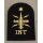 Warfare Branch,Intelligence Ratings Badge