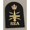 Warfare Branch ,Seaman Specialist. Ratings Badge