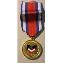 NATO ZIOTP Medaille