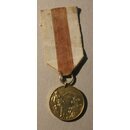 Volunteer Fire Brigades Association Medal of Merit
