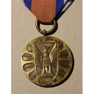 Decoration of Merit in Protection of Public Order