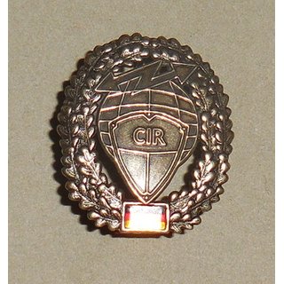 Cyber and Information Domain Service Command Beret Badge