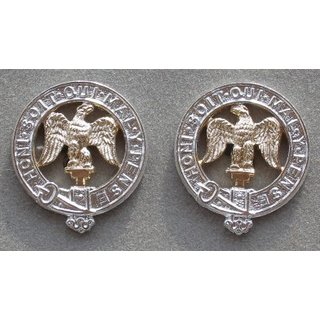 3rd Royal Anglian Regiment Kragenabzeichen